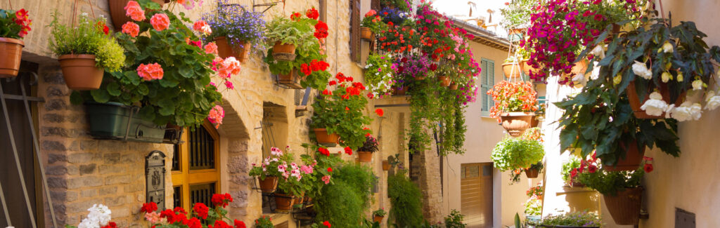 Balconi fioriti in un vicolo di Spello